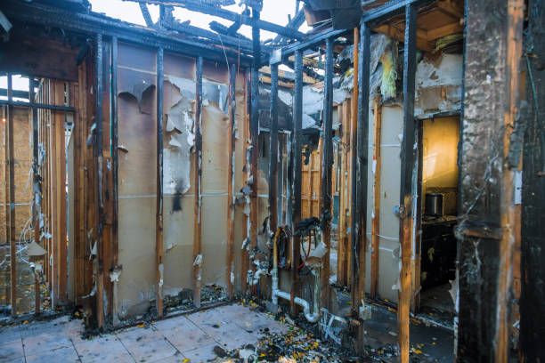 Professional Fire Damage Assessment technician working in Plano, KY